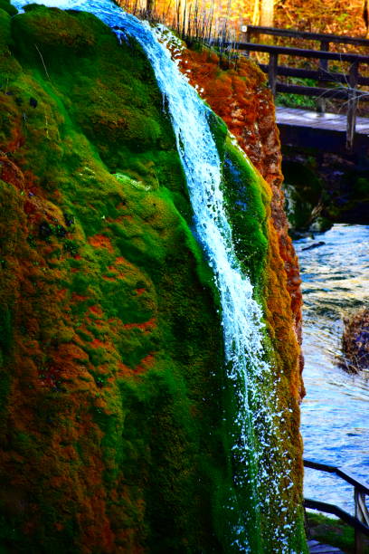 istock growing waterfall with moss in winter colors 1358723371