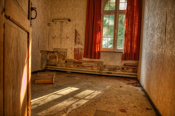 istock Sunshine in the room 1358724986