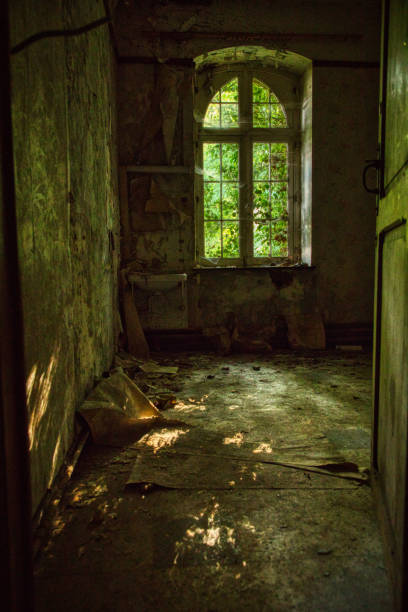 istock Sunshine in the room 1358725019