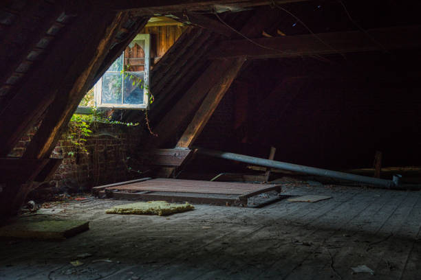 istock Sunshine in the room 1358725138