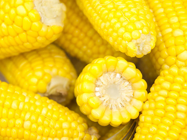 Tasty warm freshly boiled corn stock photo