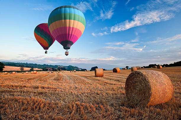 Hot air balloons over hay bales sunset landscape stock photo