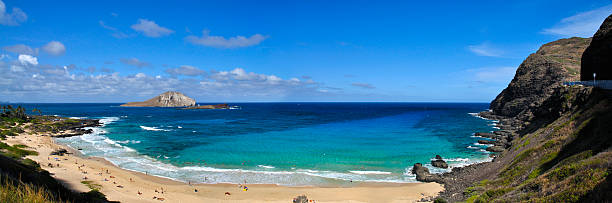 istock Makapuu Beach, Oahu, Hawaii 135872737