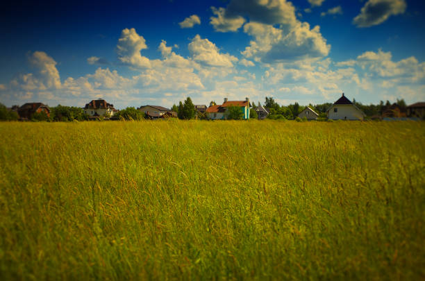 Village near the summer meadow bokeh backdrop