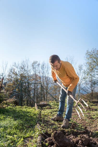 istock Active Man on Sunny Autumn Day  Digging the Ground Using Gardening Fork 1358730180