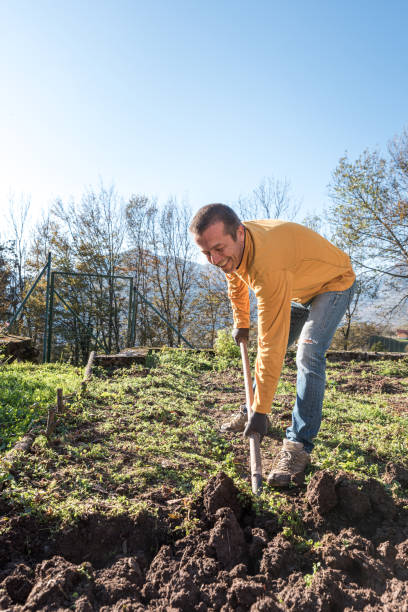 istock Active Man on Sunny Autumn Day  Digging the Ground Using Gardening Fork 1358730181