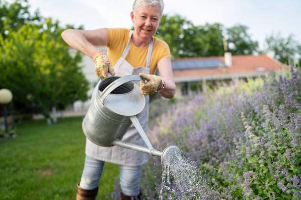 istock Sprinkling the flowerbed with water 1358730964