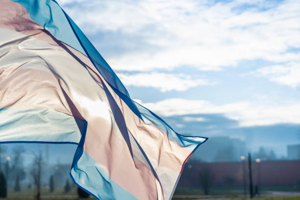 istock Transgender Flag Flying in the Sky 1358731460