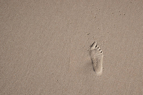 istock Footprint in the sand 135873229