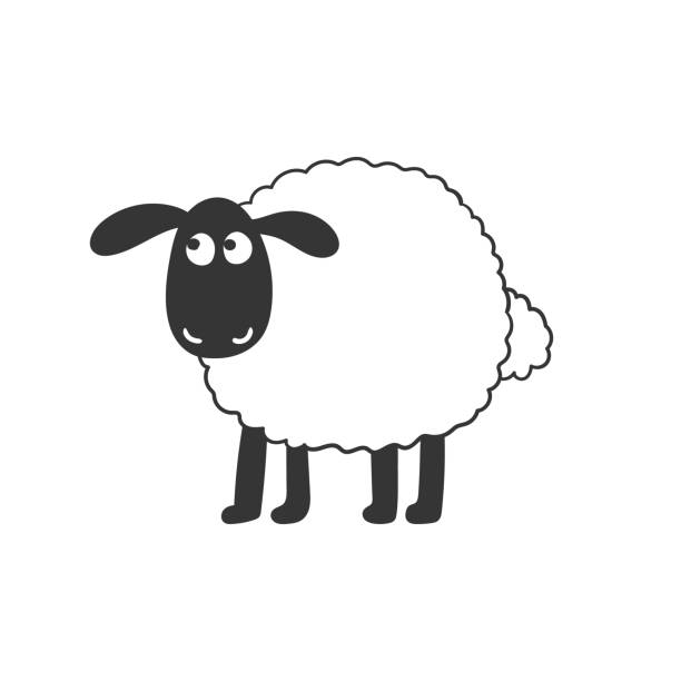 jagnię. śliczna narysowana jagnięcina. szkic rysunku do projektu. obraz wektorowy - sheep stock illustrations