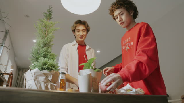 Gay couple shopping tree and food for making Christmas and new year party tonight-stock