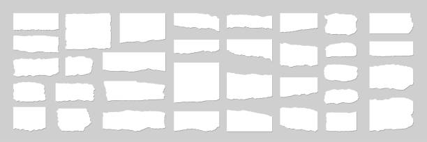 ilustraciones, imágenes clip art, dibujos animados e iconos de stock de colección de pedazos rasgados y rasgados de papel de color blanco. tiras de papel rasgadas. ilustración vectorial - ripped paper