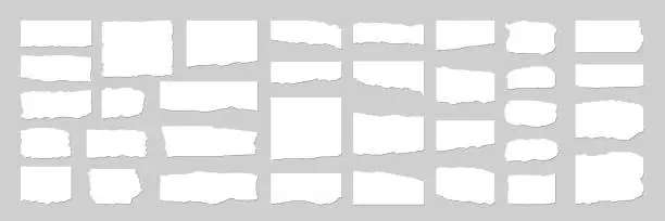 Vector illustration of Collection of torn, ripped pieces of white color paper. Ripped paper strips. Vector illustration