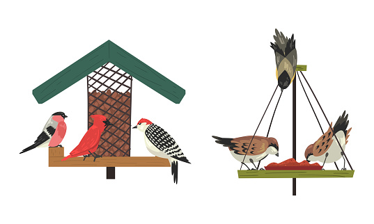 Winter Birds Feeding by Seeds and Grains Poured on Birdfeeder or Bird Table Vector Set. Food Supply for Avian and Birdwatching Concept