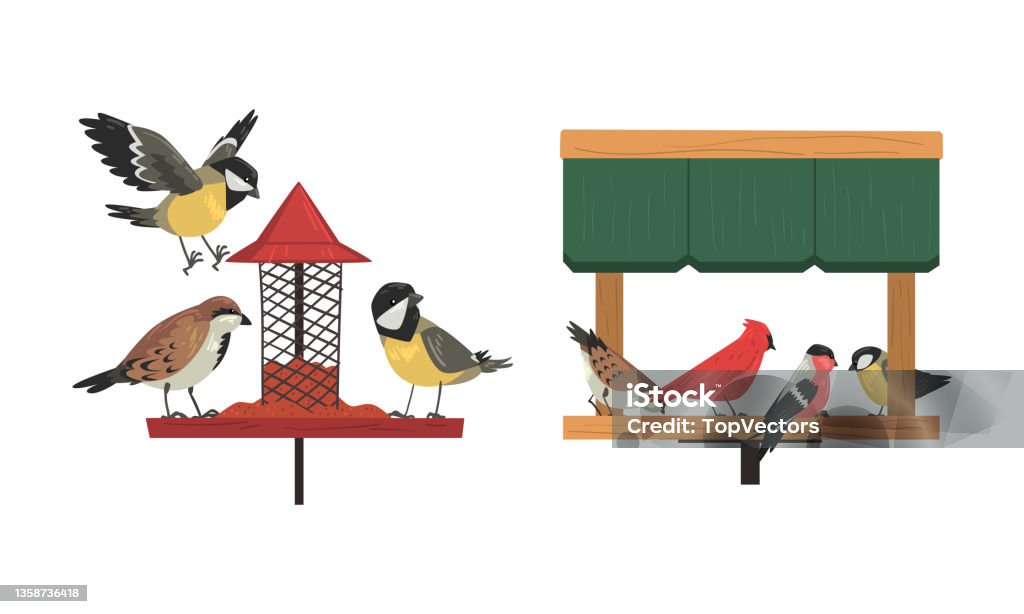 Bird Food Vector Winter Birds Feeding By Seeds And Grains Poured On Birdfeeder Or Bird ...
