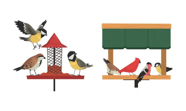 Vector illustration of Winter Birds Feeding by Seeds and Grains Poured on Birdfeeder or Bird Table Vector Set