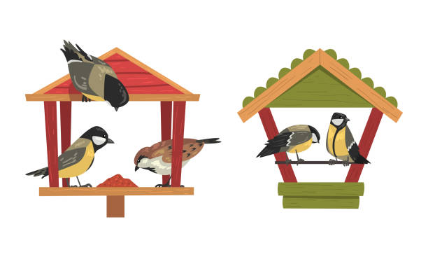 ilustrações, clipart, desenhos animados e ícones de aves de inverno alimentando-se por sementes e grãos derramados em birdfeeder ou conjunto vetorial de mesa de pássaros - bird feeder illustrations