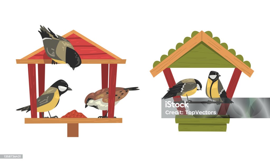 Bird Food Vector Winter Birds Feeding By Seeds And Grains Poured On Birdfeeder Or Bird ...