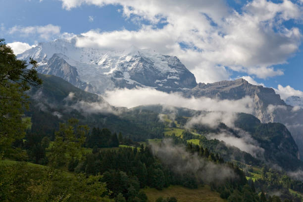 mañana sobre el jungfrau y su glaciar (el giesengletscher), con el alpes de wengernalp a continuación: oberland bernés, suiza - silberhorn fotografías e imágenes de stock