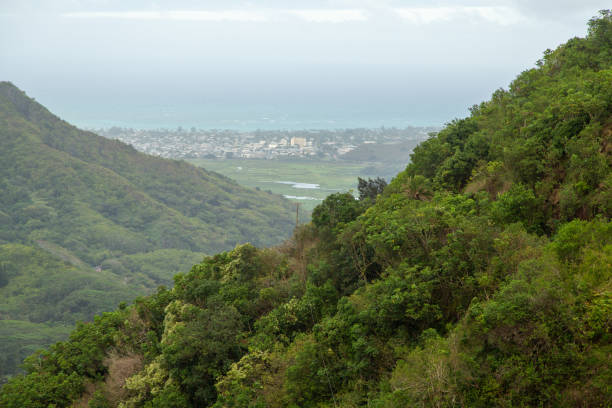 istock Valley and mountains in Oahu, Hawaii 1358737949