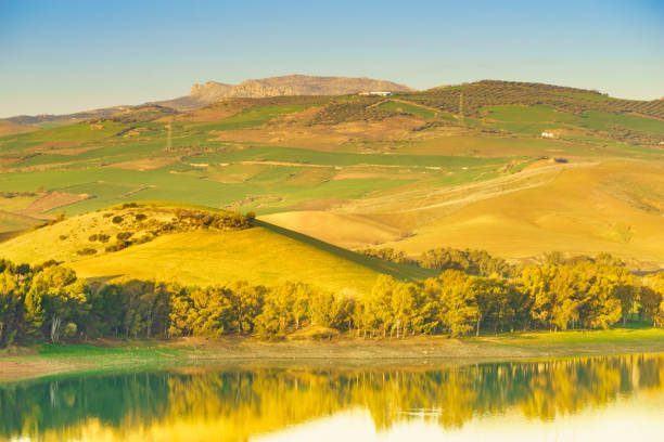 istock Spanish nature landscape in Andalucia. 1358738847