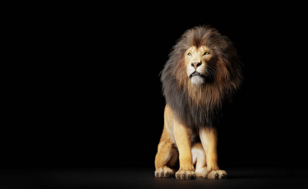 istock Lion portrait on black 1358739230