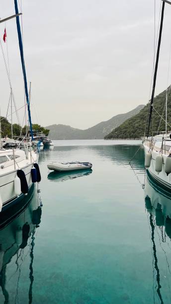 istock Boats moored in a small pier. 1358739418