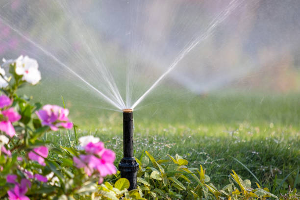 Plastic sprinkler irrigating flower bed on grass lawn with water in summer garden. Watering green vegetation duging dry season for maintaining it fresh. Plastic sprinkler irrigating flower bed on grass lawn with water in summer garden. Watering green vegetation duging dry season for maintaining it fresh. sprinkler stock pictures, royalty-free photos & images