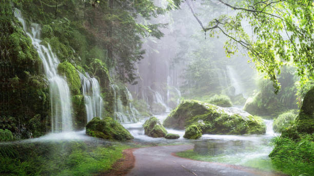 muchas cascadas fluyeron con caminos de plástico en el bosque - arte pinturas de paisajes - clima tropical fotos fotografías e imágenes de stock