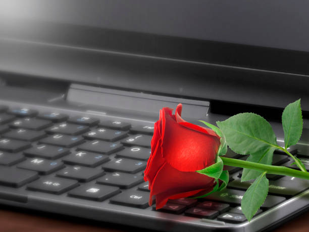 istock Red rose on the laptop keyboard, Valentine concept 1358745437