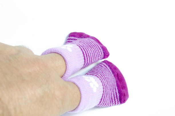 istock Socks for dogs with drawn paws 1358747487