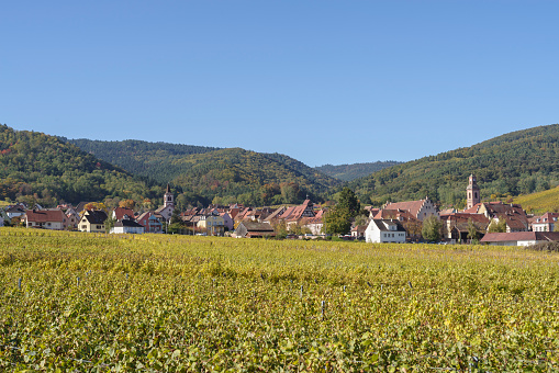 Alsatian village of Riquewihr surrounded by its famous vineyard in autumn, Grand Est, France