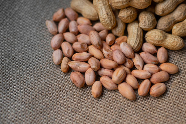close-up shot of fresh peanuts group with shelled peanuts on wicker floor - arachis hypogaea fotos imagens e fotografias de stock