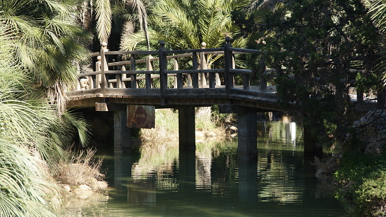 Bridges and gardens of the Palm Grove of Alicante, park and Mediterranean gardens facing the sea.