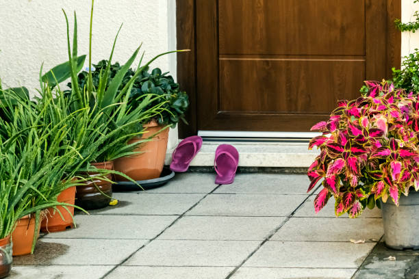 Potted plants and pair of old pink slippers beside front door