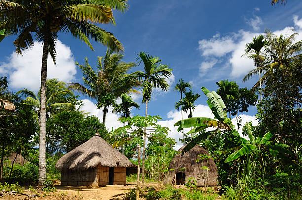 istock Indonesia, Timor, Head hunter village 135875242