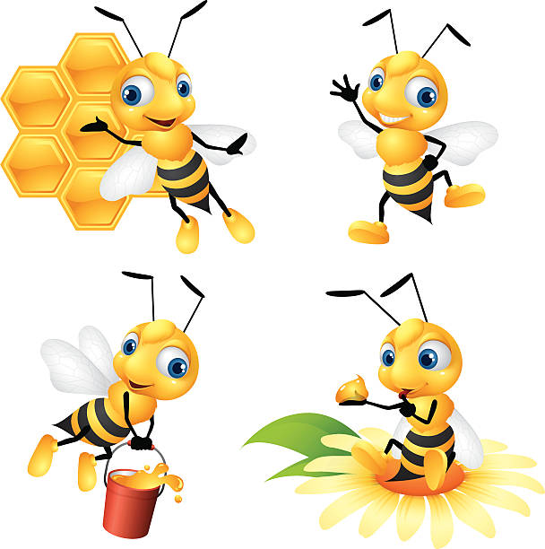 Honey Bee - four poses of bee honey bee stock illustrations