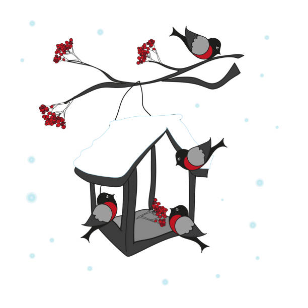 図は冬のフィーダーで鳥を示しています - bird feeder illustrations点のイラスト素材／クリップアート素材／マンガ素材／アイコン素材