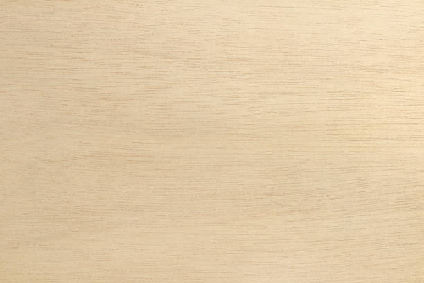 istock Plywood texture background, wooden surface in natural pattern for design art work. 1358753969