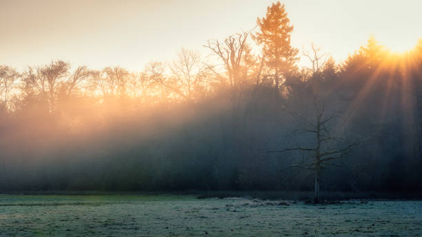 istock Sunrise over a foggy field 1358754669