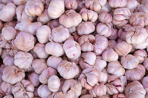top view Pile of Garlic bulbs in the market use as background