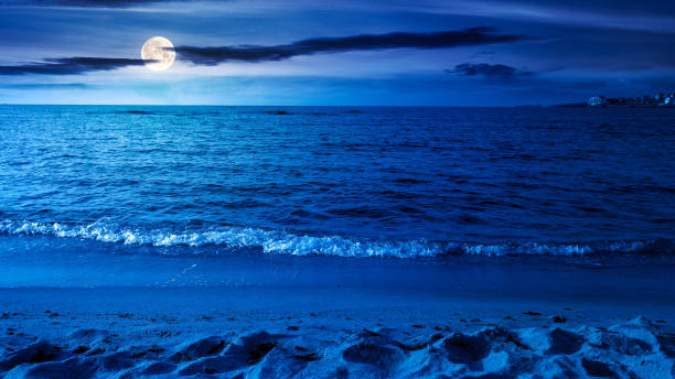 istock calm morning scenery at the sea 1358758371