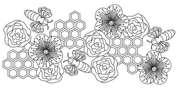 꿀 손 그린 낙서 벡터 배너. 흑백 라인 아트 일러스트레이션. 벌집, 꽃, 꿀벌, 색칠 공부 책 페이지 - honey hexagon honeycomb spring stock illustrations