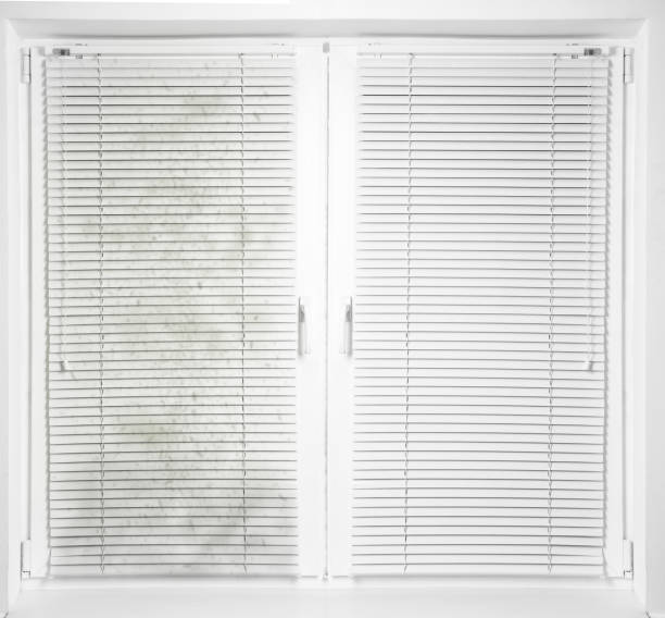 istock Window with dirty and clean blinds 1358759603