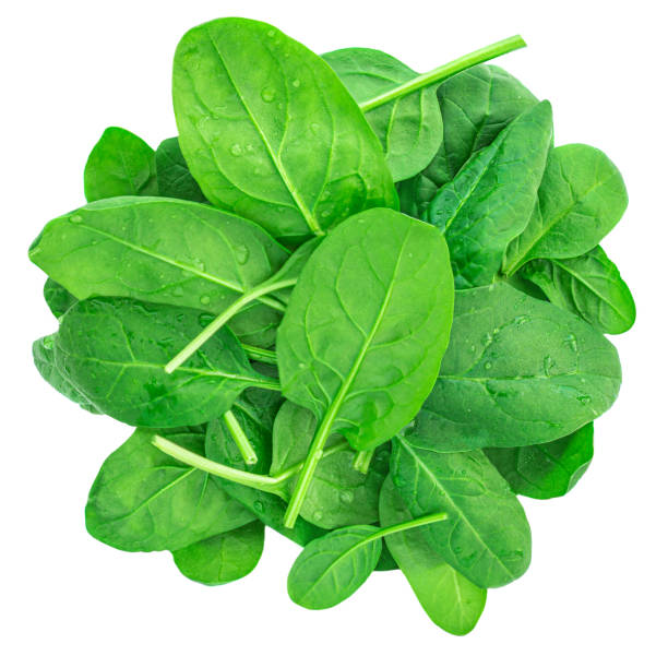 Spinach leaves isolated on white background. Fresh baby Spinach Top view. Flat lay."n Spinach leaves isolated on white background. Fresh baby Spinach Top view. Flat lay."n arugula falling stock pictures, royalty-free photos & images