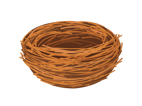 Bird nest. Empty nest with branches isolated on white background. Vector illustration