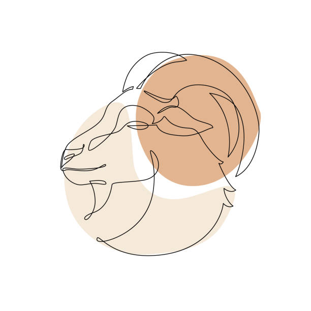 Astrological Capricorn zodiac sign one line drawing Astrological Capricorn zodiac sign one line drawing. Elegant astrology emblem, symbol outline, contour for mystic logo, calendar print in boho minimal style. Horoscope vector abstract art capricorn zodiac stock illustrations