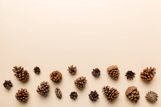 istock Christmas pine cones on colored paper border composition. Christmas, New Year, winter concept. Flat lay, top view, copy space 1358765521