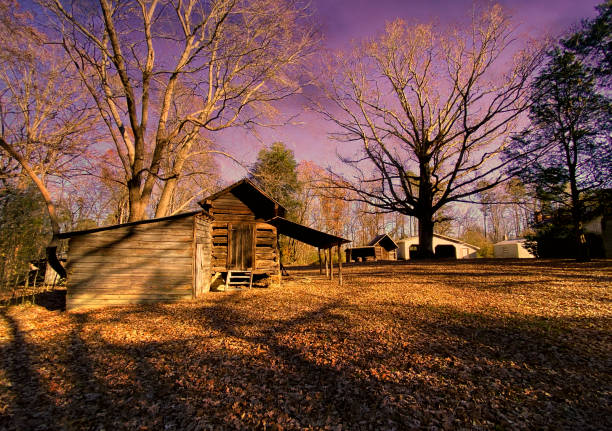 istock Rustic Deserted Wood Farm Cabin 1358766419