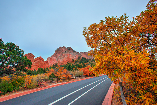 Trees with yellow and green leaves cross by the Virgin River below the red rock vertical cliffs of the Virgin Narrows in Zion National Park, Utah.